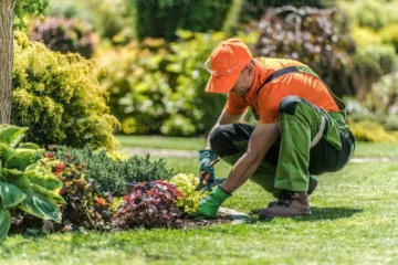 Los servicios de jardinería más requeridos a nivel mundial