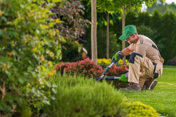 La Importancia de las Fotografías