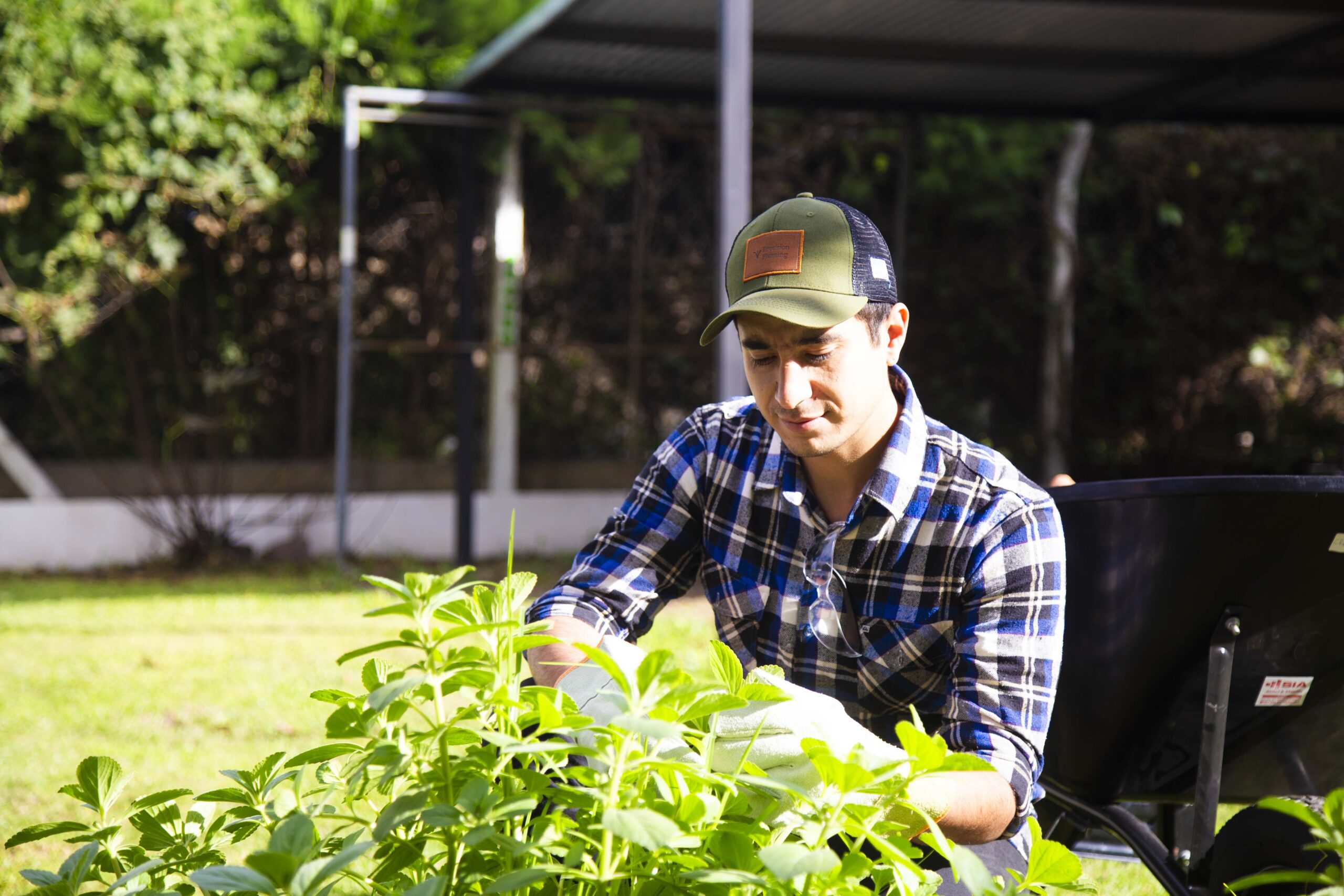 ¿Qué es Yo Resuelvo?