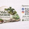 VENTA de CACTUS y SUCULENTAS