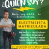 Electrochica